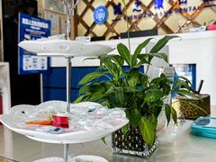 -诚之康口腔矫正种植中心(天通苑店)