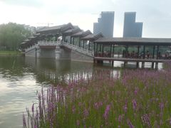 -西海子公园