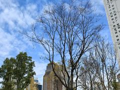 -成都市实验小学(人民中路校区)