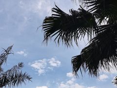 -厦门市图书馆(集美新城馆区)