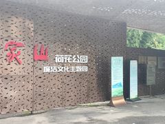 -陈家山荷花公园