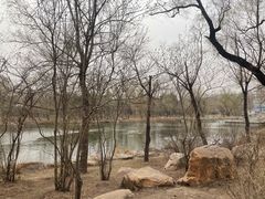 -长春市南湖公园