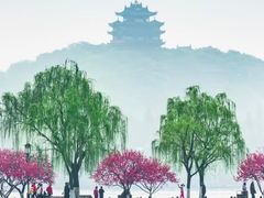 -宋宴(虎跑店)
