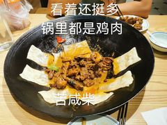-锅里锅外地锅鸡