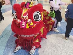 -重庆国际马戏城