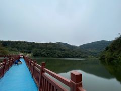 -黄埔油麻山森林公园