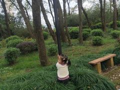 -金孔雀温泉旅游度假村