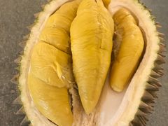 -都念榴莲·城市榴莲