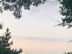 -惠山国家森林公园