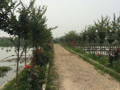 -同銮特种养殖场·龙虾垂钓