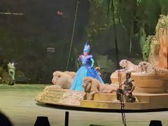 -广州长隆国际大马戏