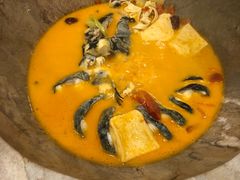 午市两人餐-云中鱼蒸汽石锅鱼(川沙百联店)