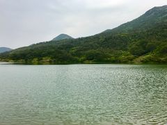 -大姆山草场