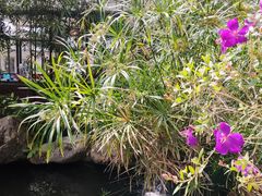 -罗浮山·罗园农庄