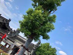 -水绘园