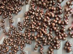 -广州柏悦酒店·悦景轩·粤菜餐厅