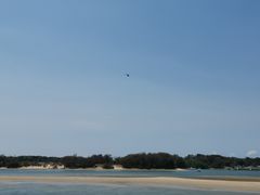 -黄金海岸