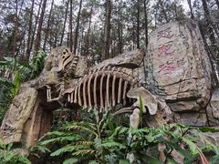 -森波拉奇妙世界