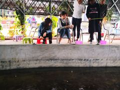 -大象营野Life营地·钓虾(坦尾店)