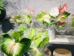 -靳晖金百合花艺GOLDENLILY(南院门店)