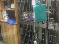 -康乐宝动物医院