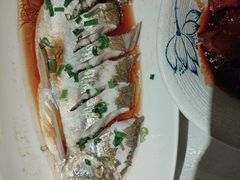 -金美华轩(东方路齐鲁店)
