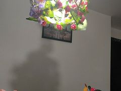 -忘忧草融合私房菜(红鼎国际店)