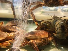 -黄商生活超市(黄冈黄州万达店)