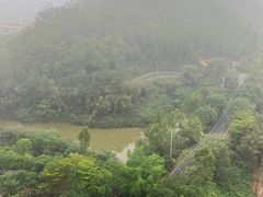 -美的鹭湖森林度假区