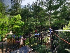 -梦幻奥陶纪景区