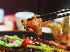 -老板恋上鱼(高新万达店)