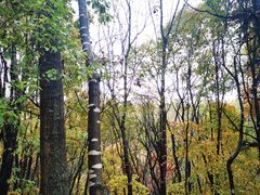 -帽儿山风景区