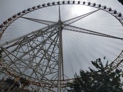 -辛玛王国游乐园