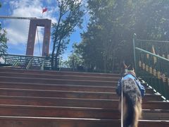 -香炉山国家森林公园
