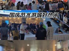 -鹏欣水游城