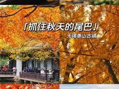 -惠山古镇·寄畅园