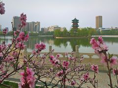 -迎泽公园