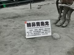 -吉林省自然博物馆