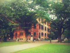 -中山大学学者灵芝(园南路店)
