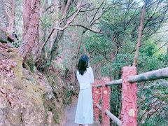 -祁门牯牛降观音堂风景区