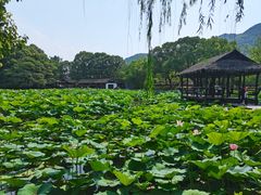 -兰亭风景区
