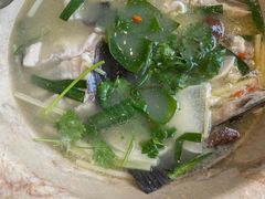 -七采菌园·野生菌石锅鱼(环城北路店)