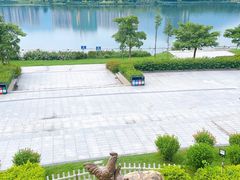 -飞来湖湿地公园