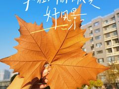 -小意思咖啡店(草桥店)