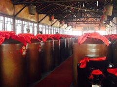 iphone_upload_pic-东湖醋园