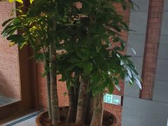 -浅深Cheersum(曹杨店)