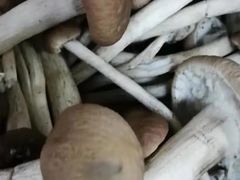 -北京清河镇农副产品交易市场中心