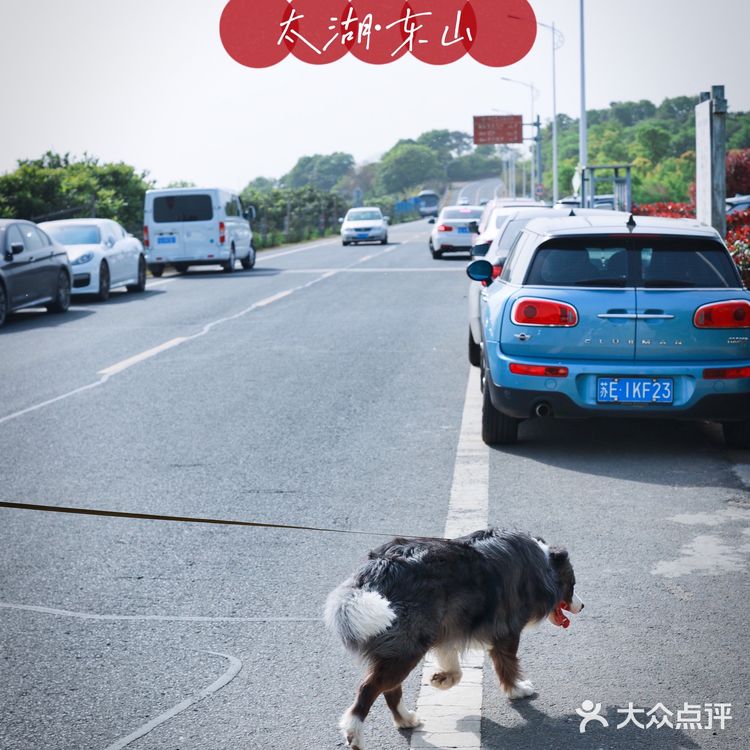 苏州太湖东山 | 超适合自驾游 | 一日游攻略