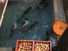 -旭龙鱼头王(航华店)