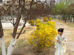 -燕郊植物园